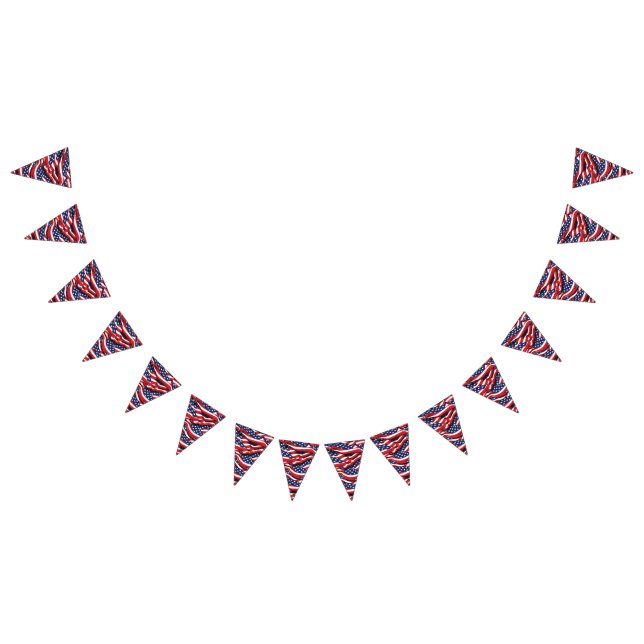 Bannière patriotique drapeaux (Tout)