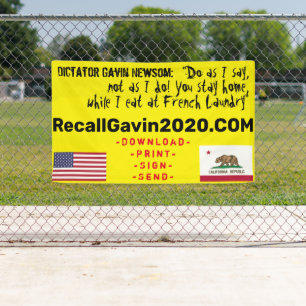 Bannière recallgavin2020 3ft x 5ft