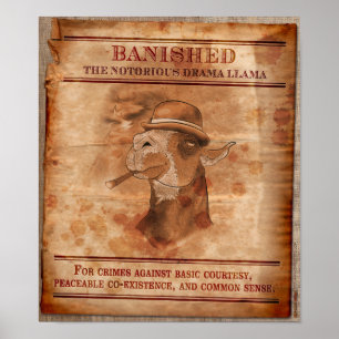 Bannissez les lamas de drame - 12" x 14" affiche