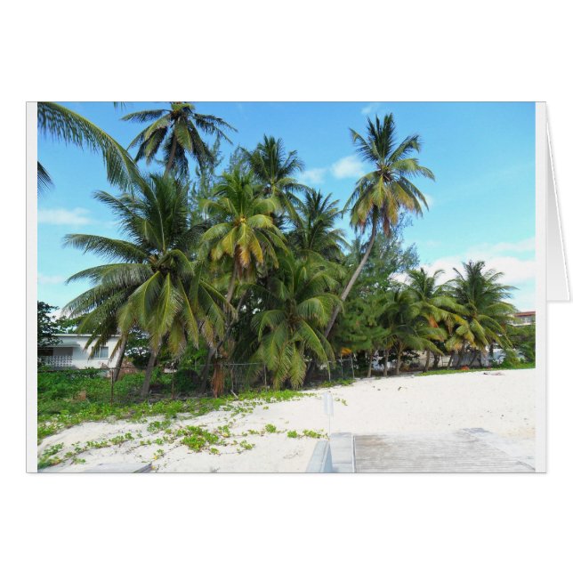 Barbade 2010 279 (Devant horizontal)