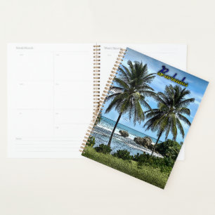 Barbados Beach Palm Trees