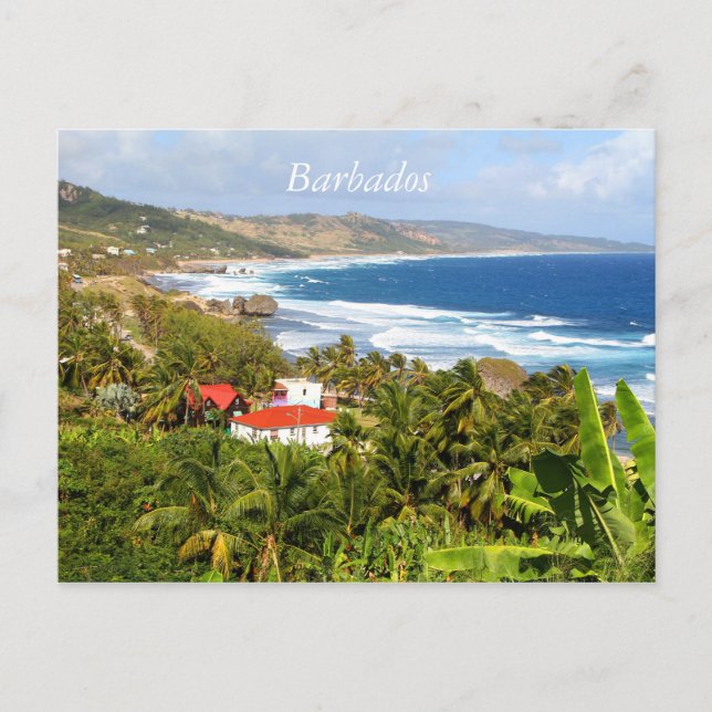 Barbados Carte postale, Océan, arbres tropicaux (Devant)