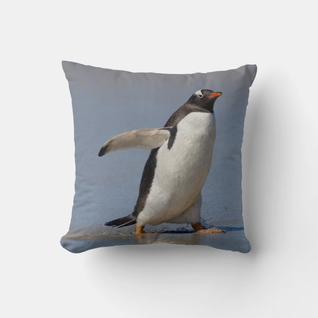 Barbotage du coussin de Gentoo (Recto)