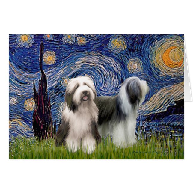Barbu Pair 1 - Nuit étoilée - Personnalisé (Devant horizontal)