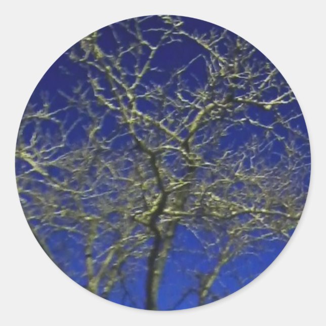 Bare Tree autocollant (Devant)