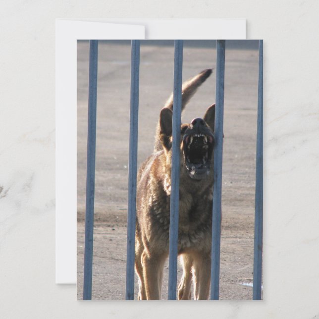 Barking (Devant)