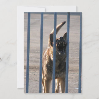 Barking
