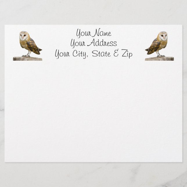 Barn Owl (Devant)