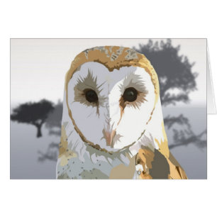 Barn Owl