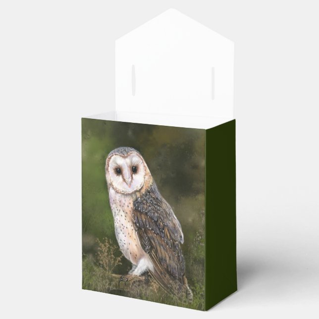 Barn Owl Ballotins (Ouvert)