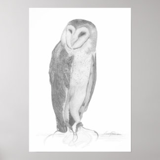 Barn Owl | Impression d'art