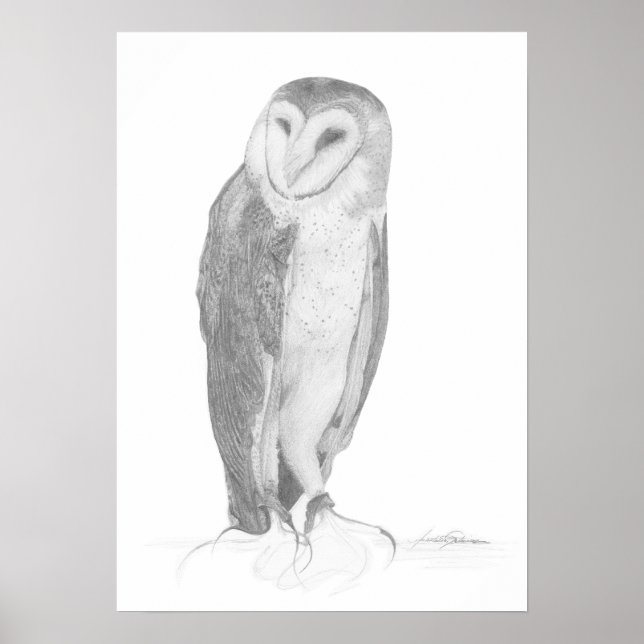 Barn Owl | Impression d'art (Devant)