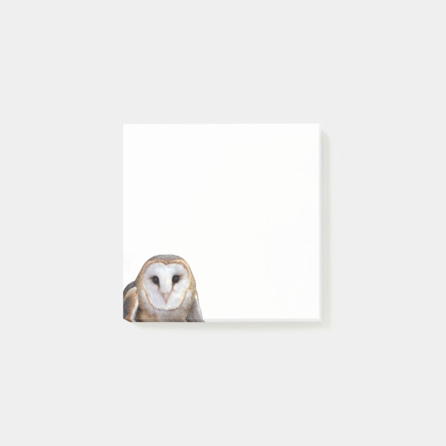 Barn Owl Photo Post-it Notes Papeterie (Devant)