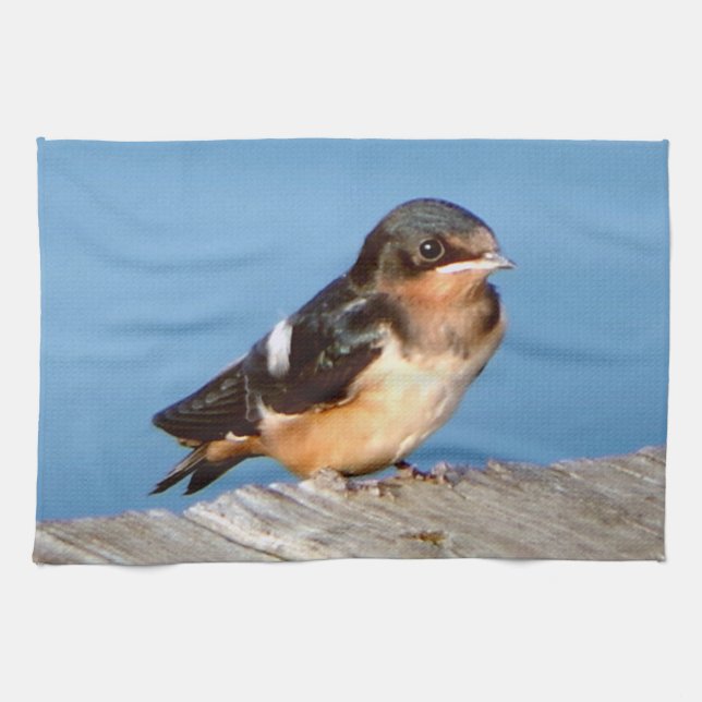 Barn Swallow serviette de cuisine (Horizontal)