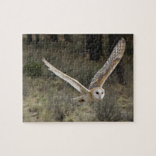 Barne Owl Jigsaw Puzzle