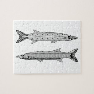 Barracuda Poisson Adult Coloriage Puzzle