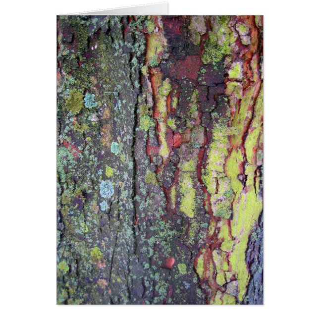 Barre d'arbre (Devant)