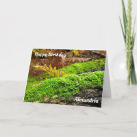 Barre d'arbre dans la mousse d'automne - Carte d'a