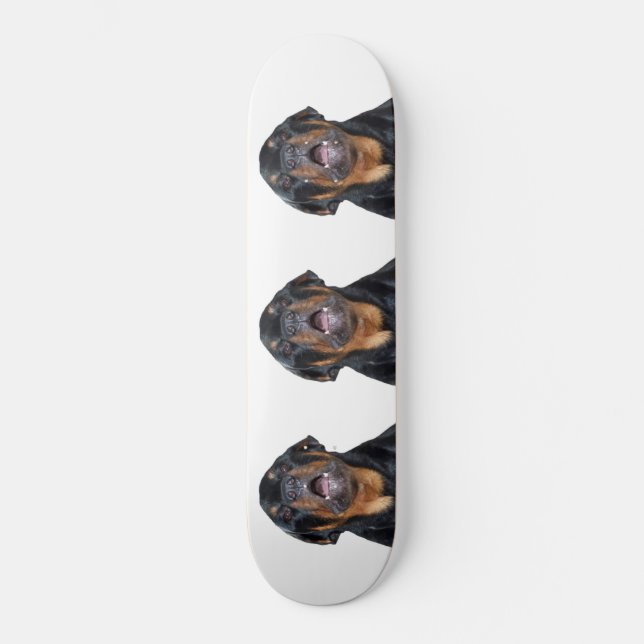 Barre Rottweiler Skateboard (Recto)