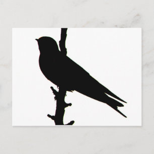 Barre Swallow silhouette Carte postale