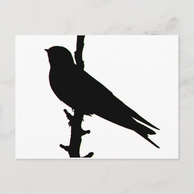 Barre Swallow silhouette Carte postale (Devant)