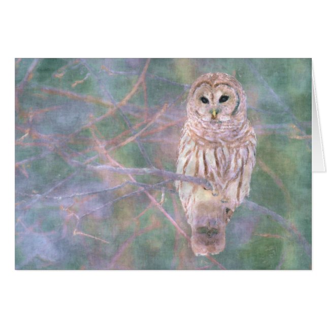 Barred Owl Pastel Oilpaint (Devant horizontal)