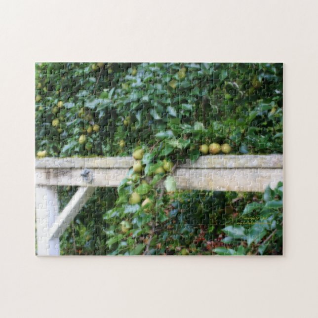 Bartlett Pears On Tree Orton Effet Jigsaw Puzzle (Horizontal)