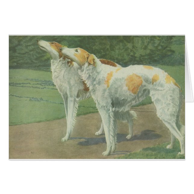 Barzoï (chien-loup russe) (Devant horizontal)