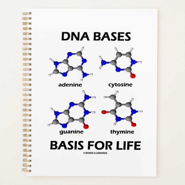 Base de base d'ADN pour la structure moléculaire d (Devant)