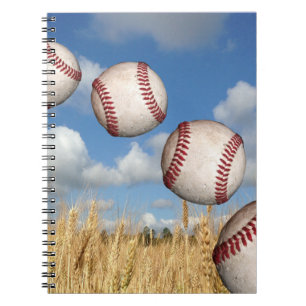 Baseball, Baseball en Carnet aérien