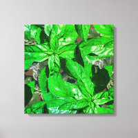 Basil Feuille Photo Art Enveloppé Toile