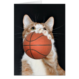 Basket de chat