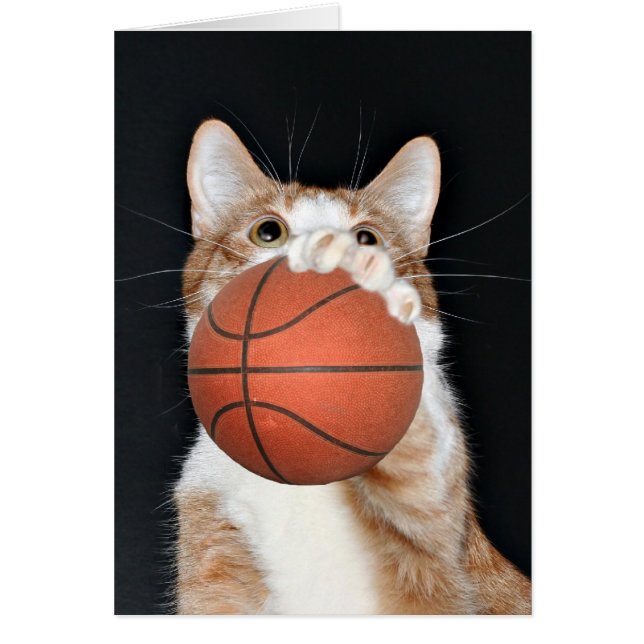Basket de chat (Devant)