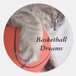 Basketball rêve autocollant