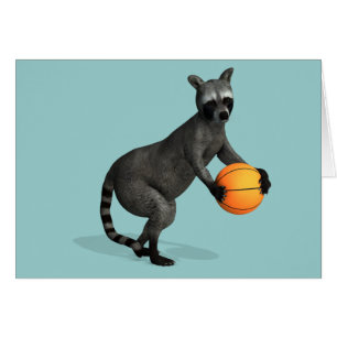 Basketballer Raccoon