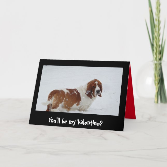 Basset dans la neige sur la carte de Saint Valenti (Devant)