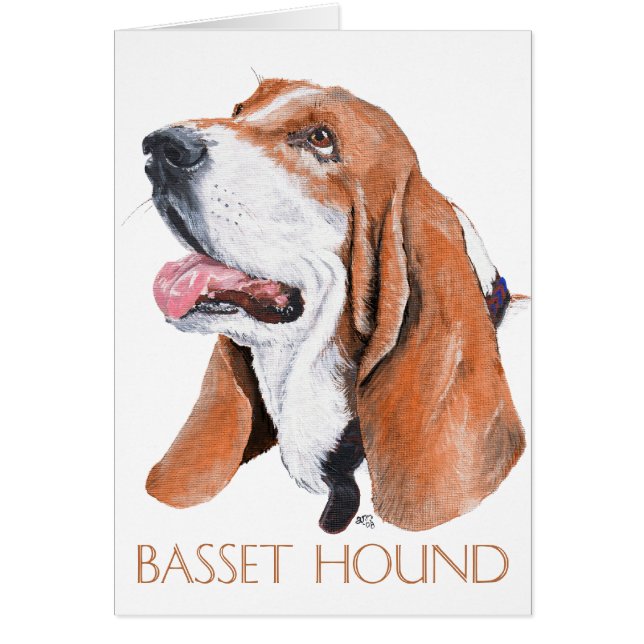 Basset Hound (Devant)