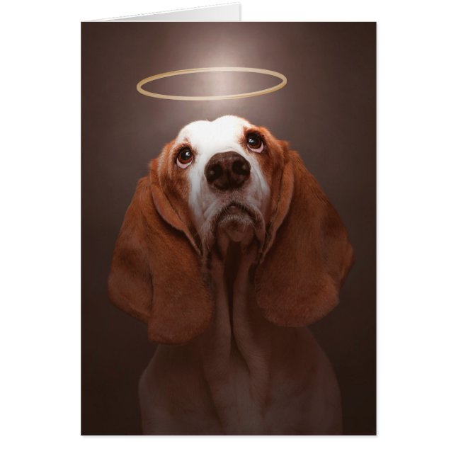Basset Hound Angel (Devant)