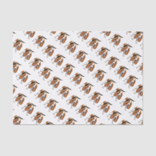 Basset Hound avec le papier de soie de soie de