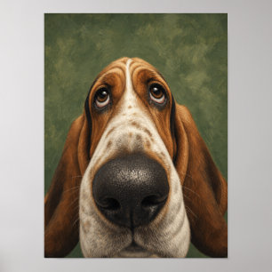 Basset Hound décoration murale — Gros plan drôle d