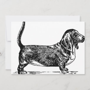 basset hound dessin.png
