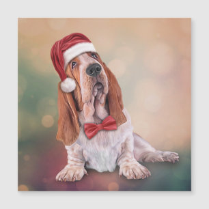 Basset Hound en rouge a le Père Noël