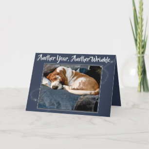 Basset Hound froissé sur la carte d'anniversaire