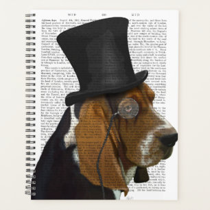 Basset Hound, Hound officiel et Casquette