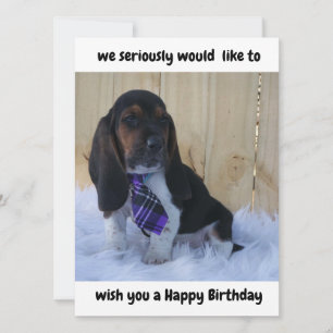 Basset hound joyeuse carte d'anniversaire