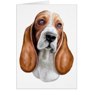 Basset Hound rouge et blanc