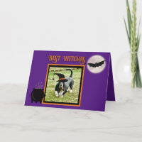 Basset Hound "Sorcière" sur la drôle carte d'Hallo