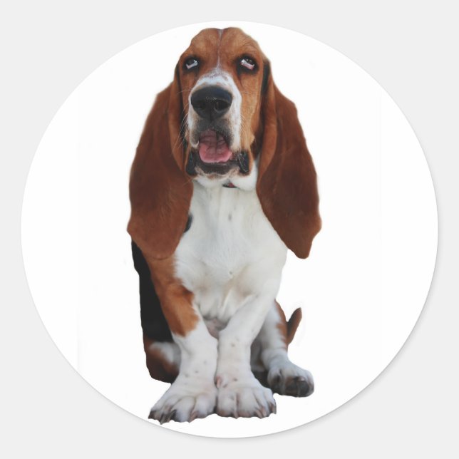 Basset Hound Stickers photo (Devant)