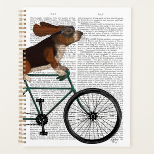 Basset Hound sur vélo