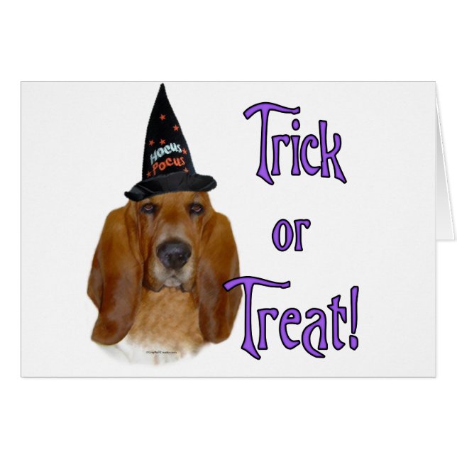 Basset Hound Trick (Devant horizontal)